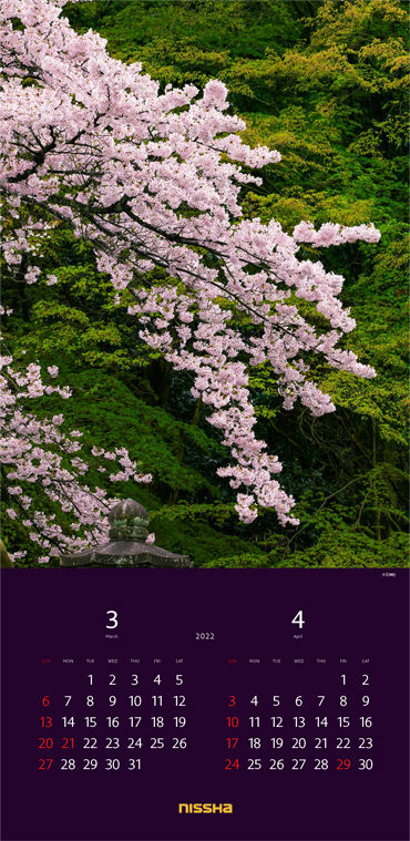 3月 4月 「大石神社」