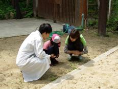 Hunting for weeds in school grounds