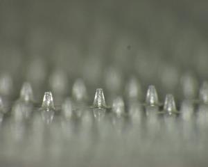 Microscope photograph of needle