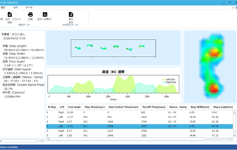 Display of gait measurement