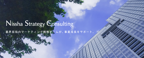 Nissha Strategy Consulting のサービスを開始