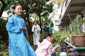 雨上がりの学校内でまちくさ探し