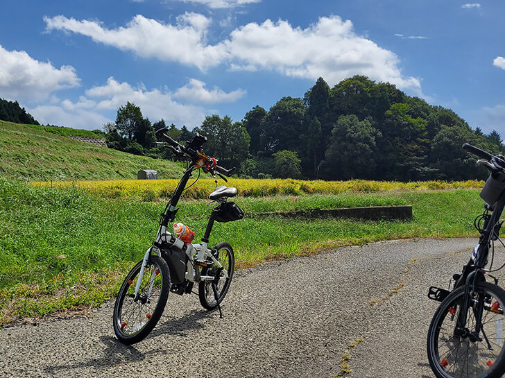 休日の写真