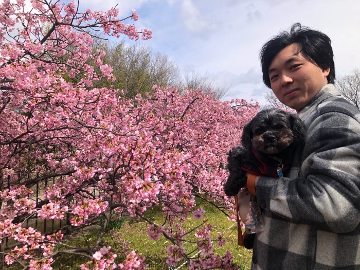 休日の写真